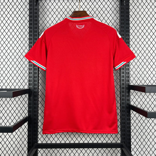 2026 Wales Home World Cup Jersey